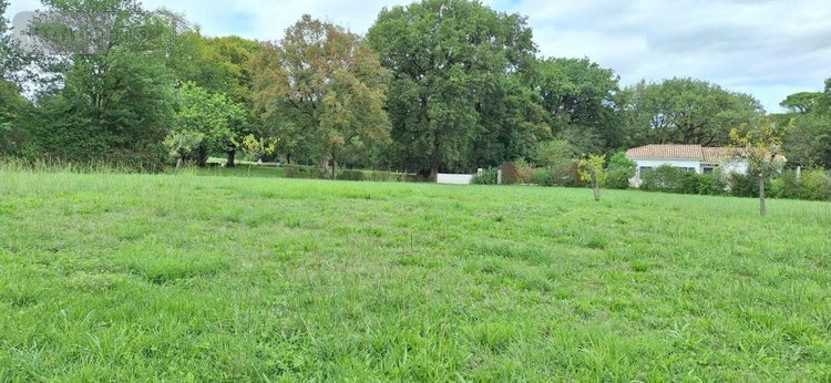 Terrain a batir a vendre Saint-Jean-Poutge 32190 Gers 3981 m2  65000 euros