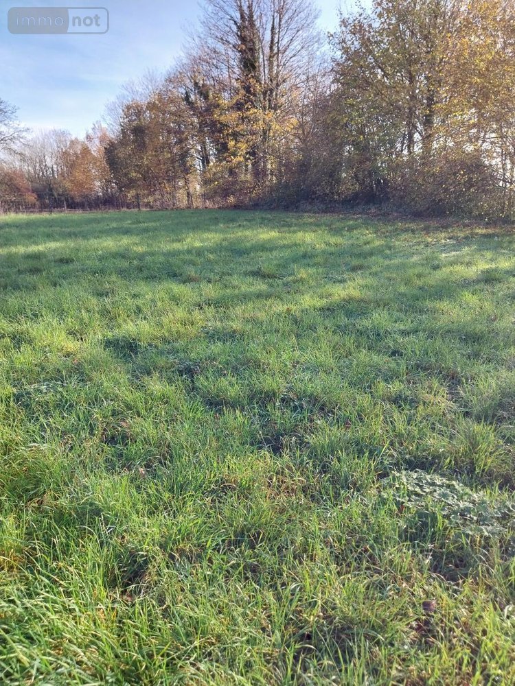 Maison a vendre Savy-Berlette 62690 Pas-de-Calais 120 m2 4 pièces 268000 euros