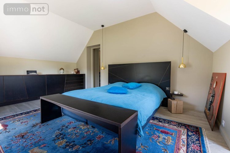 Maison a vendre Pruniers-en-Sologne 41200 Loir-et-Cher 405 m2 11 pièces 1768000 euros