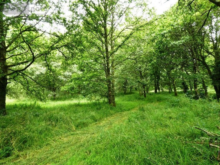 Maison a vendre Lignol 56160 Morbihan 90 m2 4 pièces 168450 euros