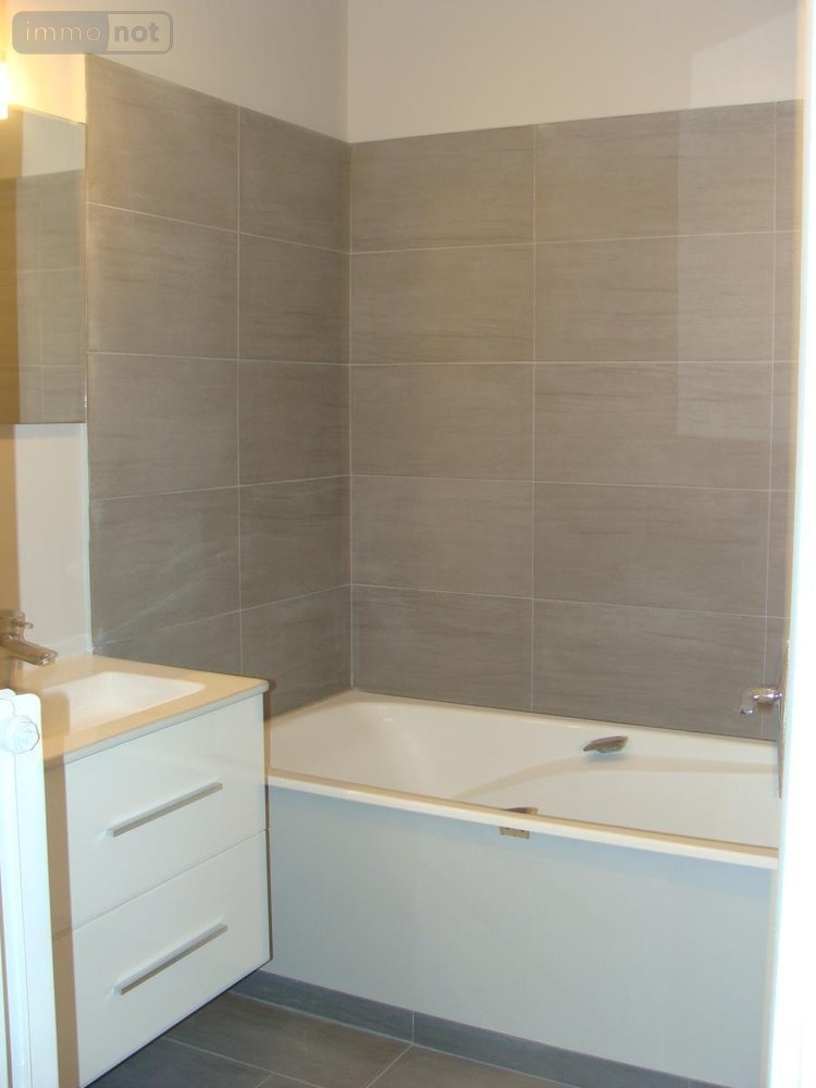 Location appartement Hénin-Beaumont 62110 Pas-de-Calais 55 m2 2 pièces 600 euros