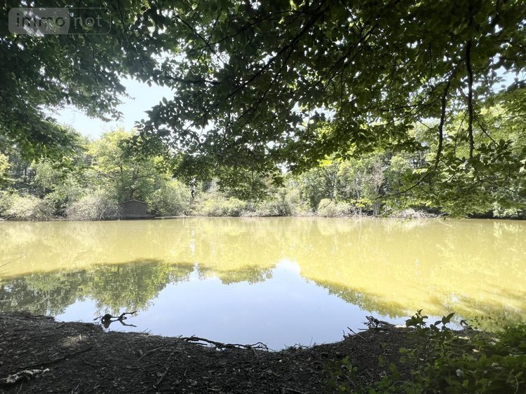 Maison a vendre Marchenoir 41370 Loir-et-Cher 231 m2 6 pièces 609000 euros