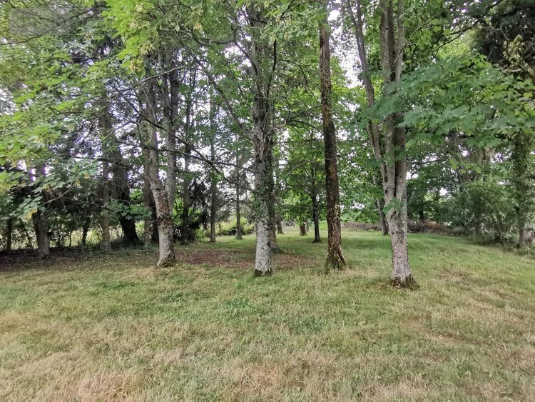 Maison a vendre Plouëc-du-Trieux 22260 Côtes-d'Armor 78 m2 4 pièces 125690 euros
