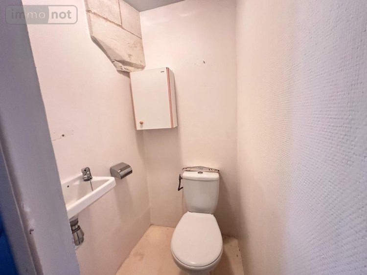 Maison a vendre Prinçay 86420 Vienne 90 m2 3 pièces 105300 euros