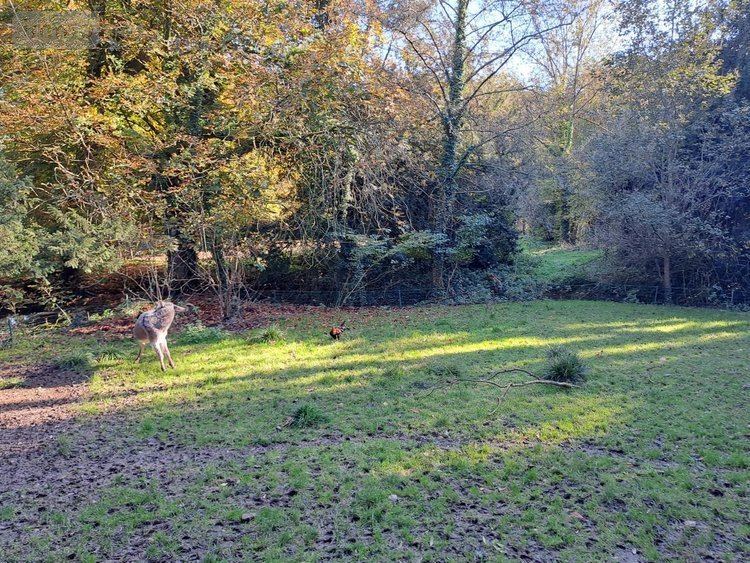 Maison a vendre Rebergues 62850 Pas-de-Calais 394 m2 12 pièces 581660 euros