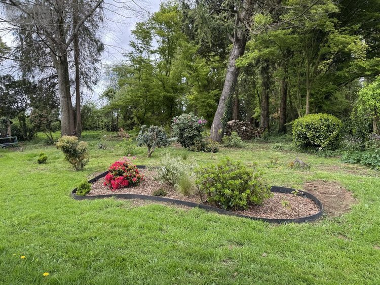 Maison a vendre Illifaut 22230 Côtes-d'Armor 48 m2 1 pièce 146590 euros