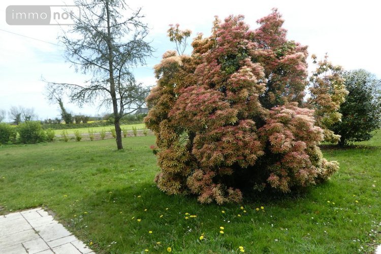 Maison a vendre Plouigneau 29610 Finistère 207 m2 6 pièces 377450 euros