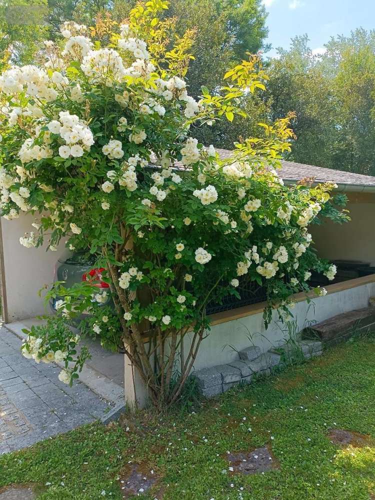 Maison a vendre Saint-Philibert 56470 Morbihan 154 m2 5 pièces 943200 euros