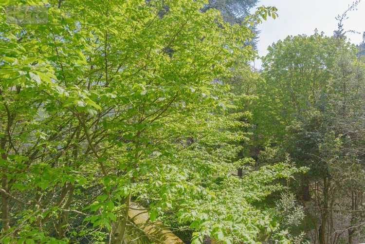 Appartement a vendre Paris 5e arrondissement 75005 Paris 115 m2 4 pièces 1890000 euros