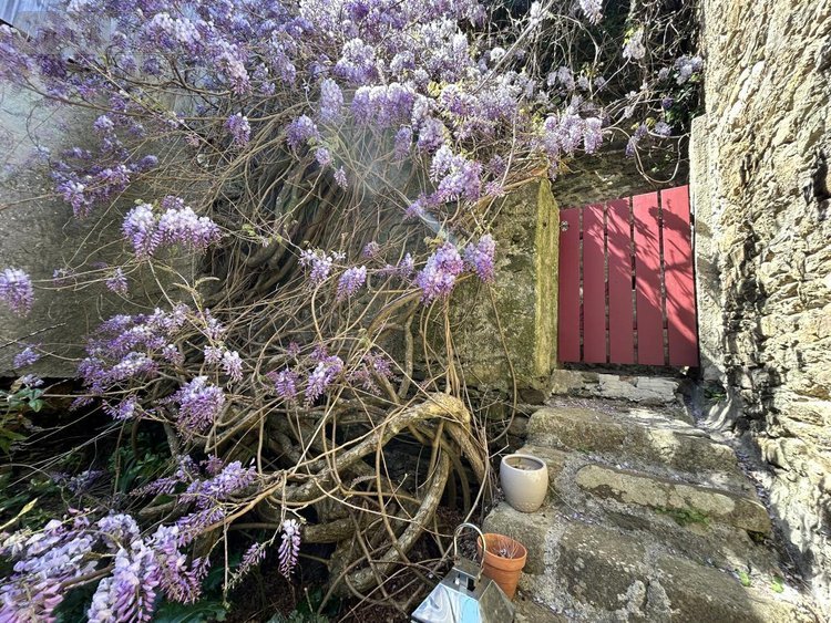 Maison a vendre Le Palais 56360 Morbihan 240 m2 6 pièces 838350 euros