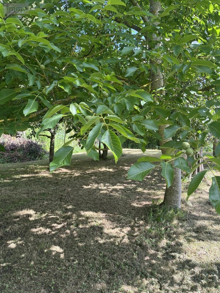 Terrains de loisirs bois etangs a vendre Parçay-sur-Vienne 37220 Indre-et-Loire 7760 m2  23600 euros