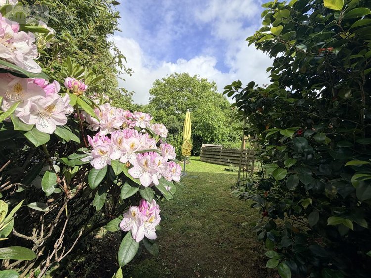 Maison a vendre Plumergat 56400 Morbihan 143 m2 4 pièces 293440 euros