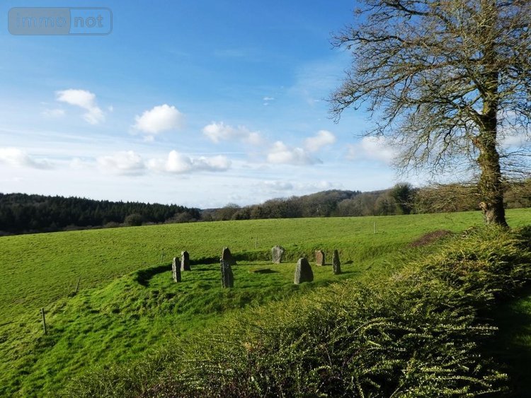 Maison a vendre Langoëlan 56160 Morbihan 280 m2 10 pièces 367000 euros