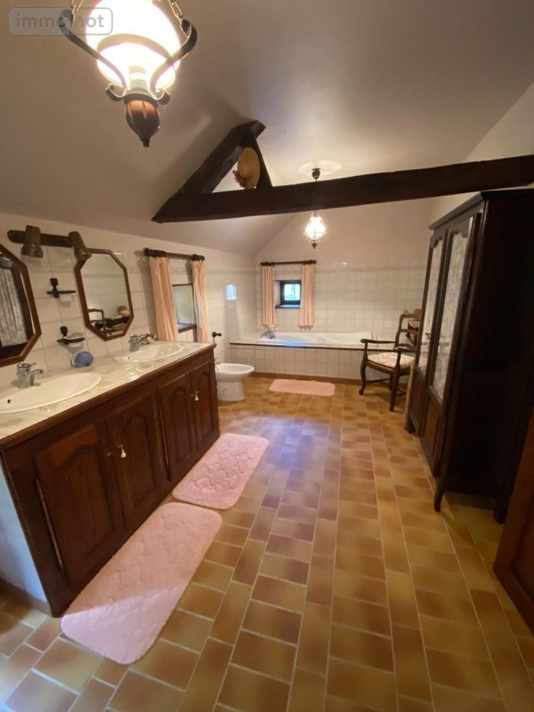 Maison a vendre Gréez-sur-Roc 72320 Sarthe 351 m2 12 pièces 379770 euros