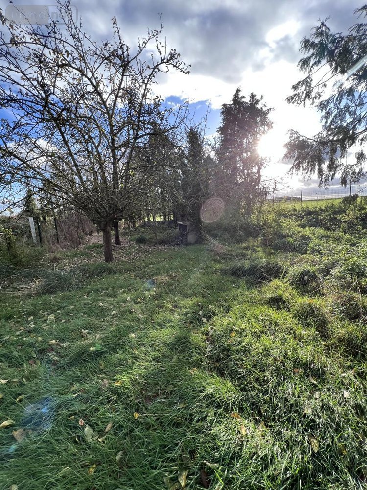 Maison a vendre Plouasne 22830 Côtes-d'Armor 118 m2  143440 euros