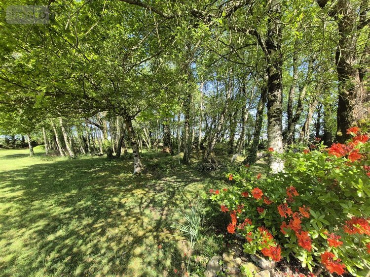 Maison a vendre Colpo 56390 Morbihan 148 m2 6 pièces 364760 euros