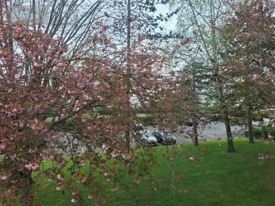 Appartement a vendre Angers 49000 Maine-et-Loire 75 m2  126000 euros