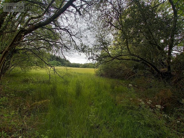 Maison a vendre Languidic 56440 Morbihan 60 m2 2 pièces 193100 euros