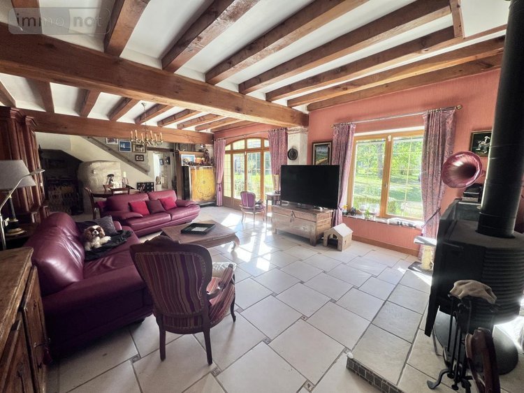 Maison a vendre Châtillon-sur-Cher 41130 Loir-et-Cher 385 m2 14 pièces 420000 euros