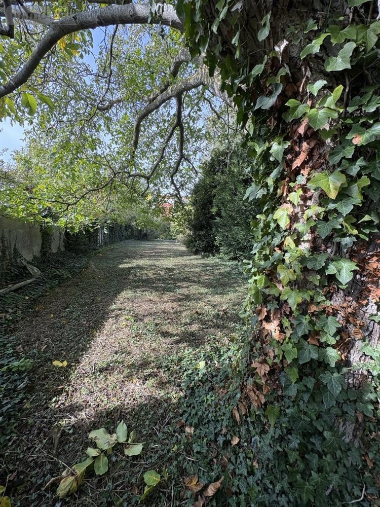 Maison a vendre Noeux les Mines 62290 Pas-de-Calais 67 m2 4 pièces 117976 euros