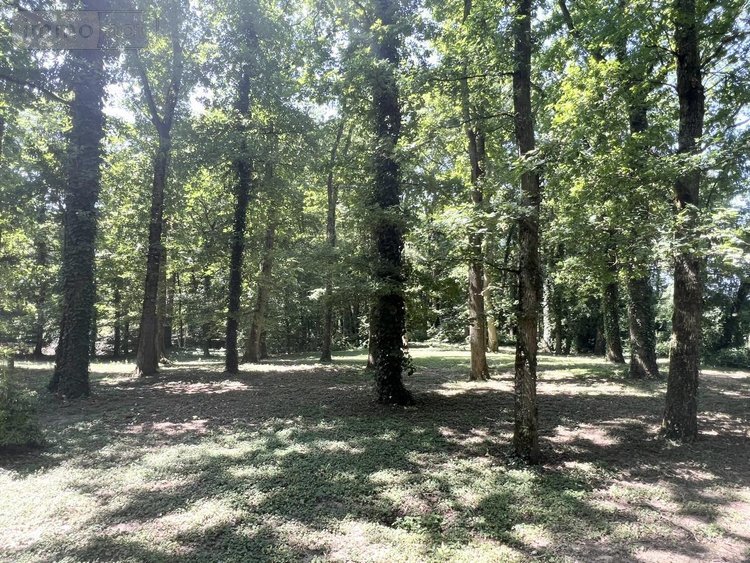 Maison a vendre Marchenoir 41370 Loir-et-Cher 231 m2 6 pièces 609000 euros