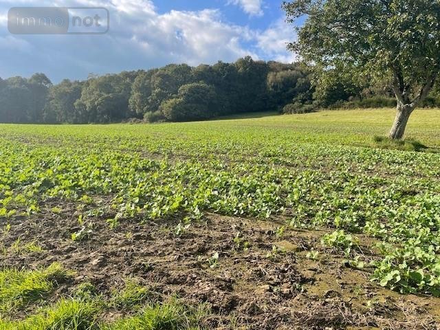 Maison a vendre Le Mené 22330 Côtes-d'Armor 120 m2  63000 euros