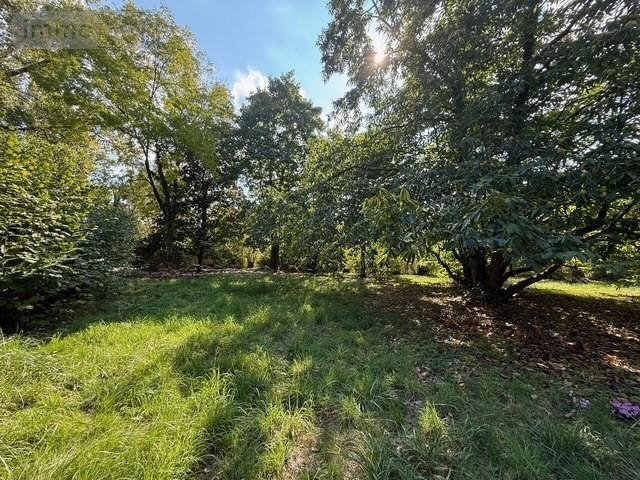 Terrain a batir a vendre Bouchemaine 49080 Maine-et-Loire 4879 m2  419200 euros