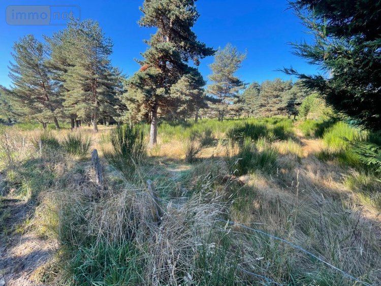 Terrain a batir a vendre Saint-Chély-d'Apcher 48200 Lozère 4849 m2  99000 euros