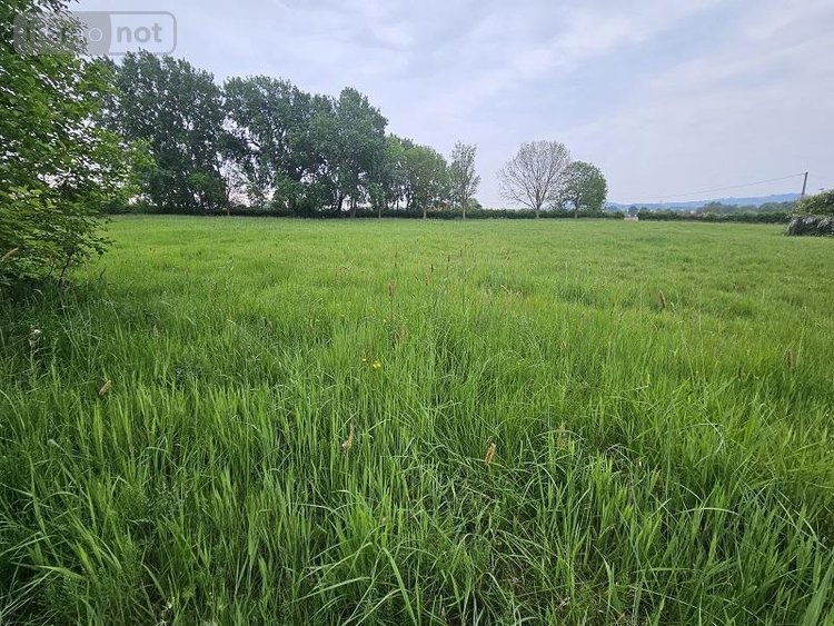 Terrains de loisirs bois etangs a vendre Oudezeele 59670 Nord 14373 m2  46000 euros