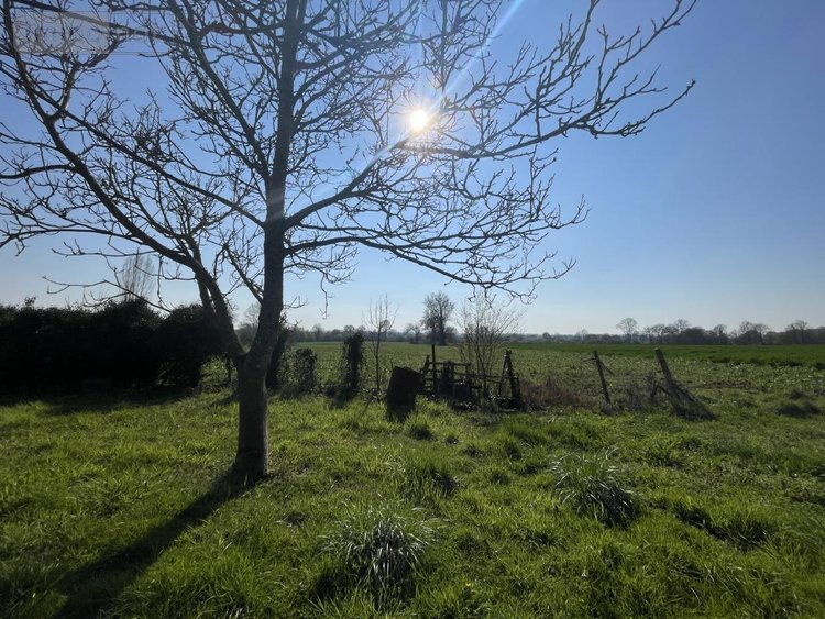 Maison a vendre Sillé-le-Philippe 72460 Sarthe 89 m2 3 pièces 93000 euros