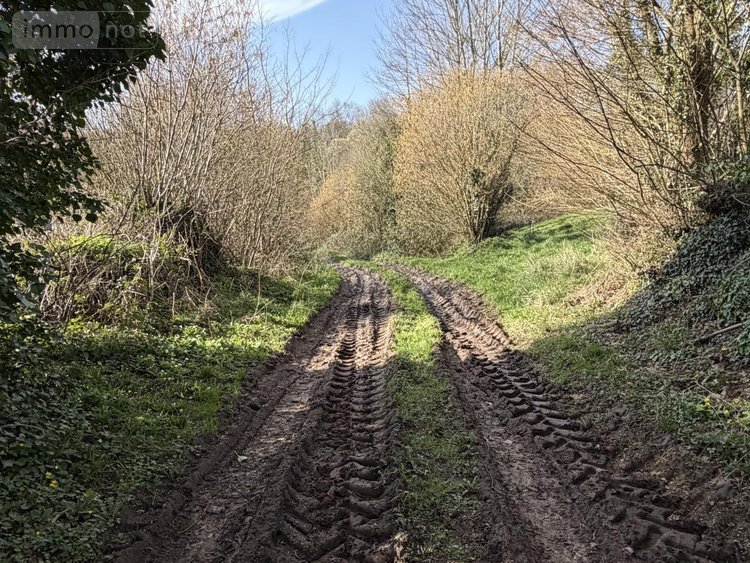 Terrains de loisirs bois etangs a vendre Pleyber-Christ 29410 Finistère 37739 m2  18000 euros