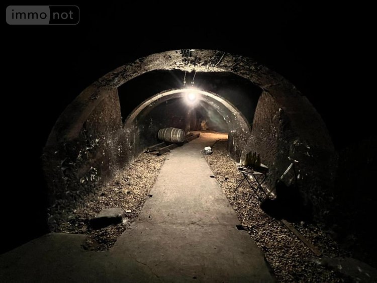 Maison a vendre Mareuil-sur-Cher 41110 Loir-et-Cher 180 m2 7 pièces 278000 euros