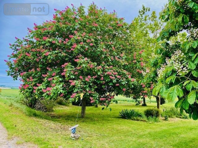 Maison a vendre Chezelles 37220 Indre-et-Loire 141 m2 5 pièces 169600 euros