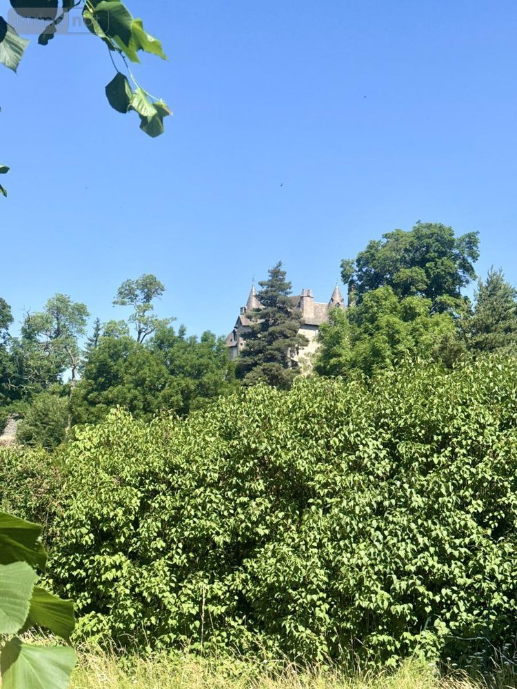 Maison a vendre Fournels 48310 Lozère 350 m2  158000 euros
