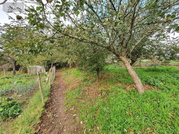 Maison a vendre Remungol 56500 Morbihan 105 m2  116120 euros