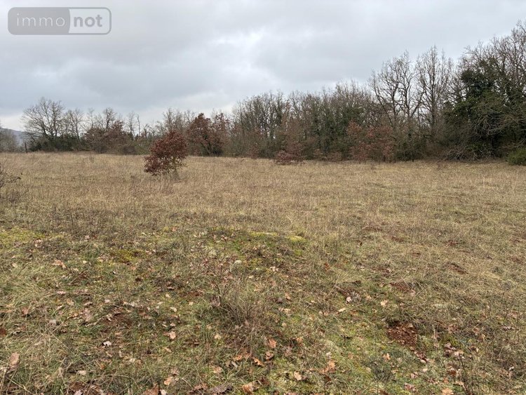 Terrains de loisirs bois etangs a vendre Saint-Jean-d'Alcapiès 12250 Aveyron 80070 m2  54000 euros