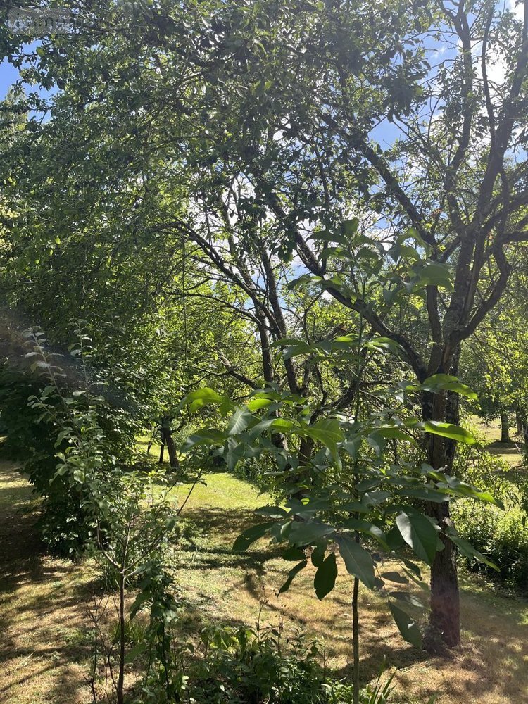 Terrains de loisirs bois etangs a vendre Parçay-sur-Vienne 37220 Indre-et-Loire 7760 m2  23600 euros