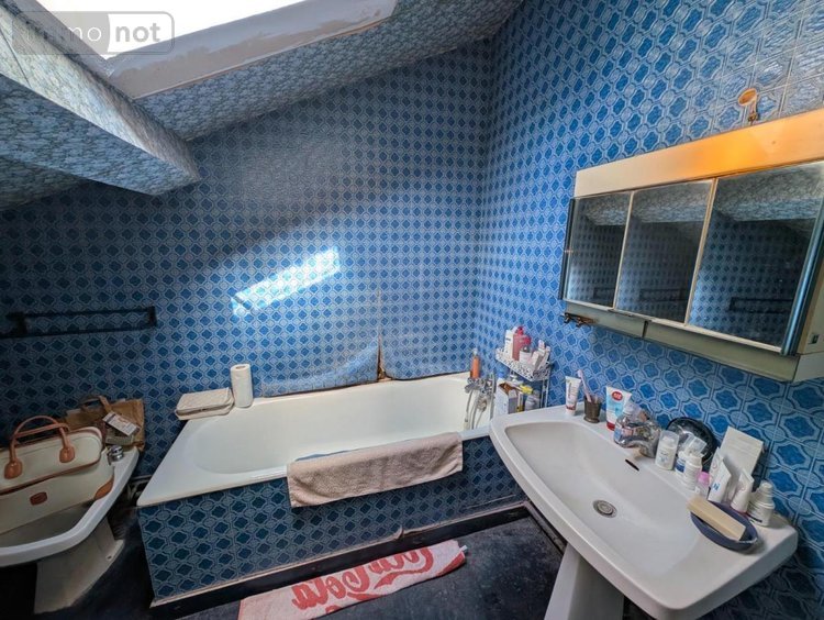 Maison a vendre Broût-Vernet 03110 Allier 365 m2 13 pièces 345840 euros