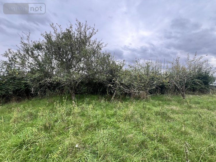 Terrains de loisirs bois etangs a vendre Lunay 41360 Loir-et-Cher 2855 m2  11800 euros