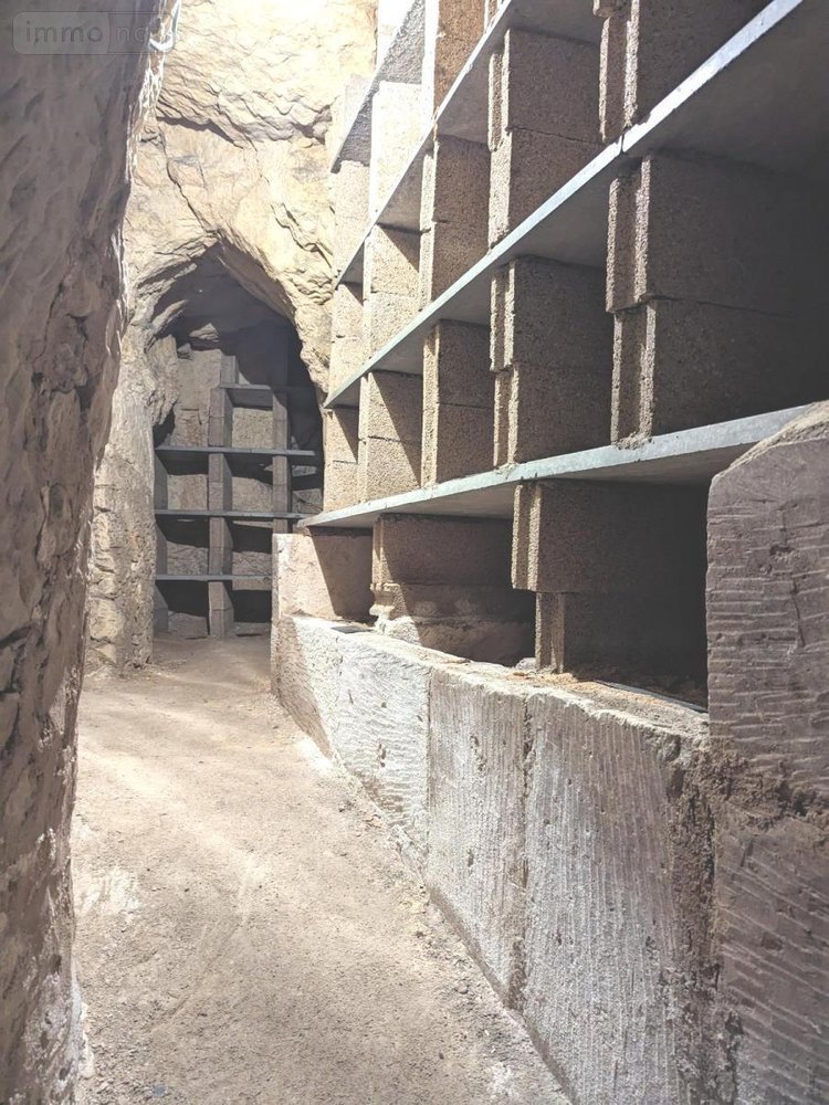 Fonds et murs commerciaux a vendre Sainte-Maure-de-Touraine 37800 Indre-et-Loire 180 m2  235500 euros