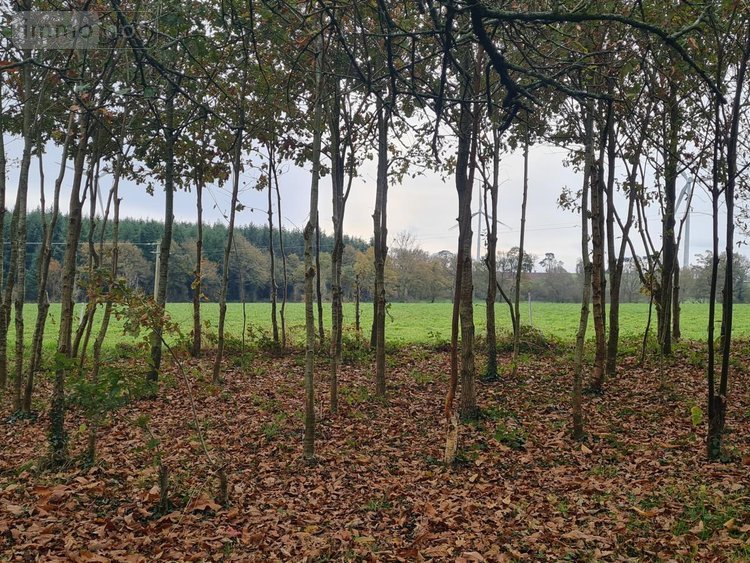 Maison a vendre Moréac 56500 Morbihan 77 m2  99620 euros