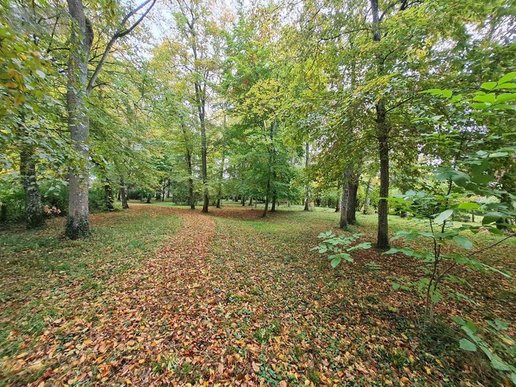 Maison a vendre Montoire-sur-le-Loir 41800 Loir-et-Cher 267 m2 10 pièces 571450 euros