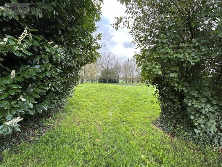 Maison a vendre Nouvoitou 35410 Ille-et-Vilaine 172 m2 6 pièces 437300 euros