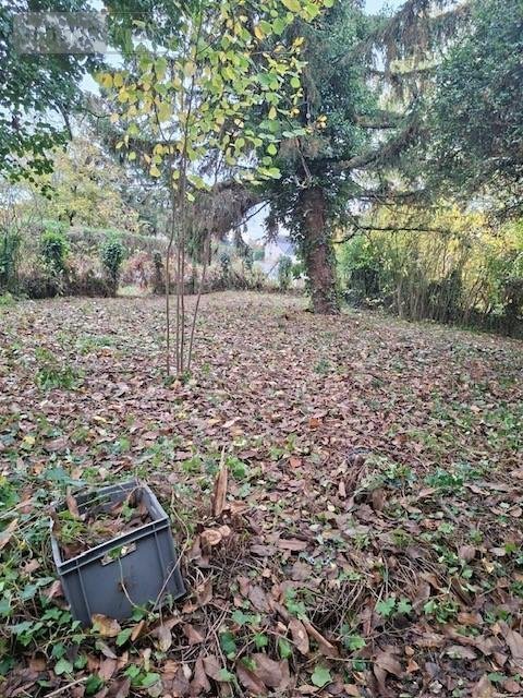 Maison a vendre Loire-Authion 49250 Maine-et-Loire 87 m2 4 pièces 106000 euros