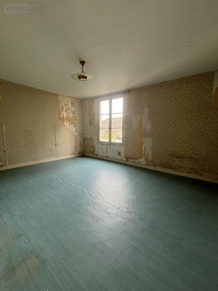 Immeuble a vendre L'Île-Bouchard 37220 Indre-et-Loire 335 m2  73600 euros