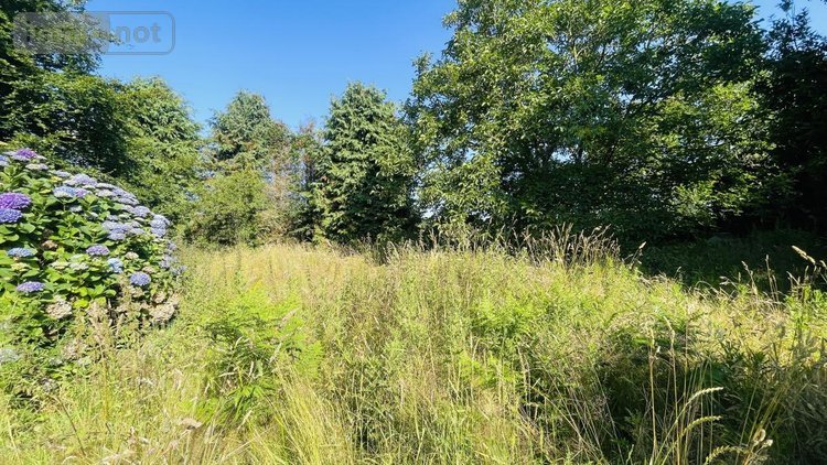 Maison a vendre Carnac 56340 Morbihan 75 m2 5 pièces 291520 euros