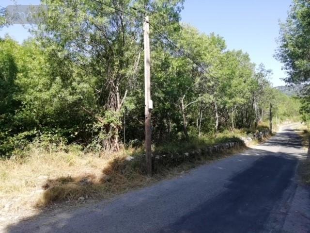 Terrains de loisirs bois etangs a vendre Lauroux 34700 Hérault 10000 m2  11000 euros