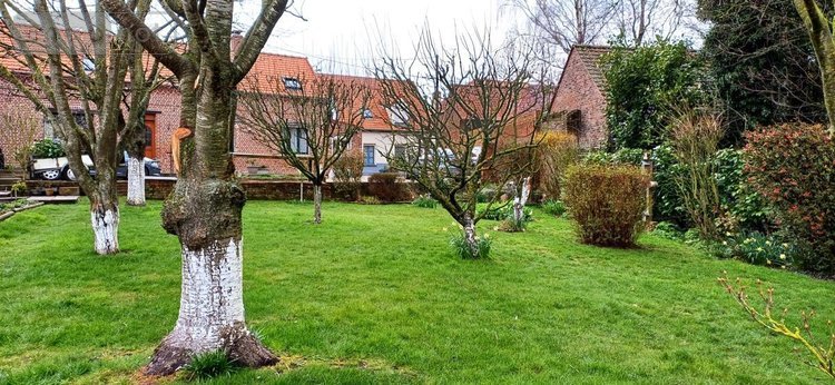 Maison a vendre Ames 62190 Pas-de-Calais 140 m2 6 pièces 234000 euros