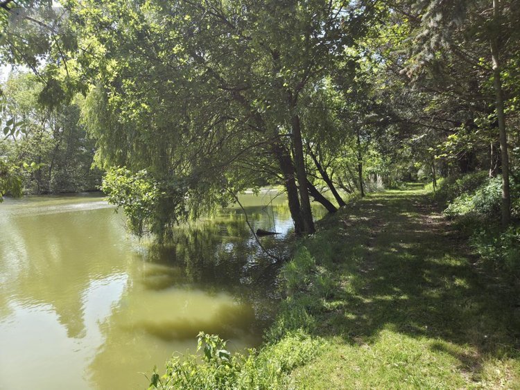 Terrains de loisirs bois etangs a vendre La Roche-Neuville 53200 Mayenne 31445 m2  95700 euros