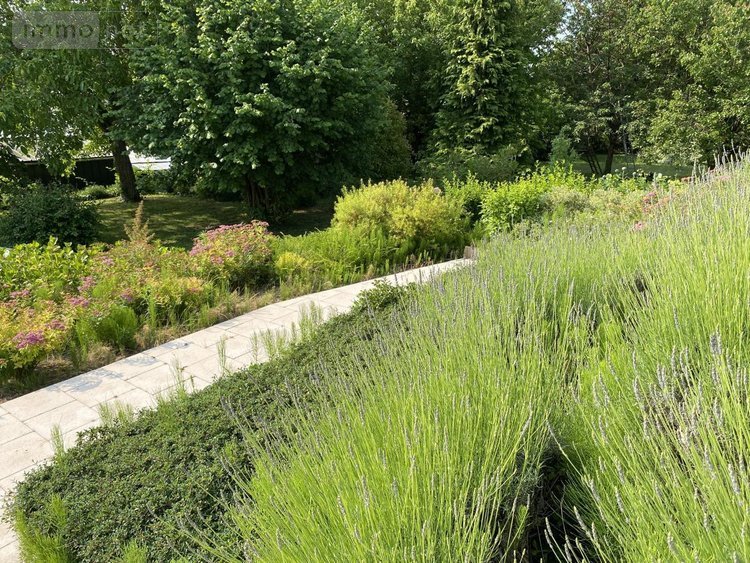 Maison a vendre Rives-du-Loir-en-Anjou 49140 Maine-et-Loire 134 m2 6 pièces 317210 euros